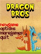 game pic for Dragon Bros  touch